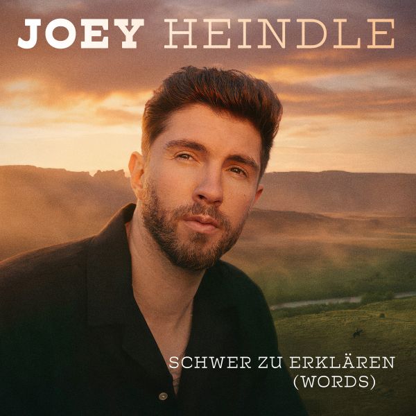 Gesamt&uuml;bersicht / g_1_0_joeyheindle_schwerzuerklaeren_single_cover_3k.jpg